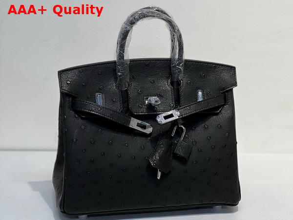 Hermes Ostrich Birkin 25 Bag in Black Replica