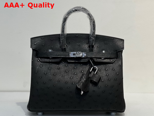 Hermes Ostrich Birkin 25 Bag in Black Replica