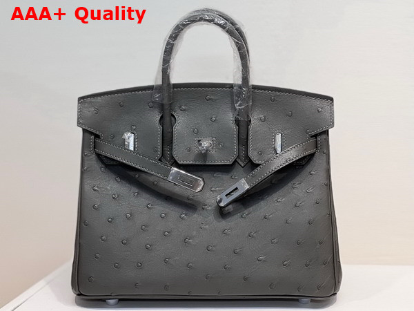 Hermes Ostrich Birkin 25 Bag in Dark Grey Replica