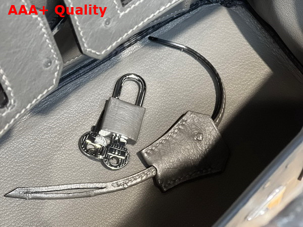 Hermes Ostrich Birkin 25 Bag in Dark Grey Replica