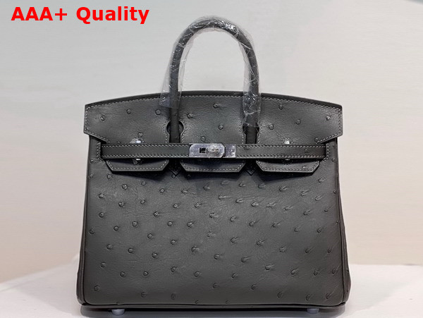 Hermes Ostrich Birkin 25 Bag in Dark Grey Replica