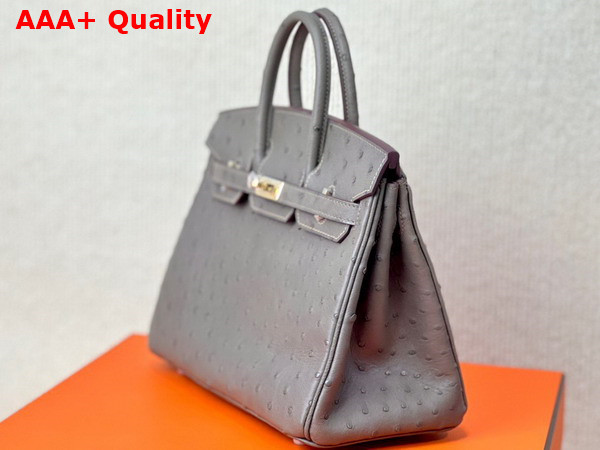 Hermes Ostrich Birkin 25 Bag in Elephant Grey Replica