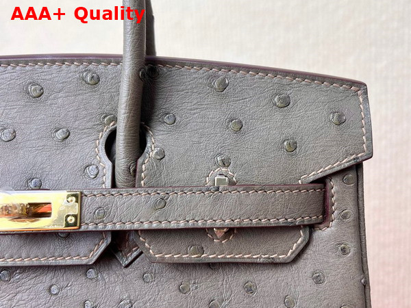 Hermes Ostrich Birkin 25 Bag in Elephant Grey Replica