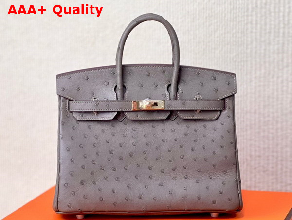 Hermes Ostrich Birkin 25 Bag in Elephant Grey Replica