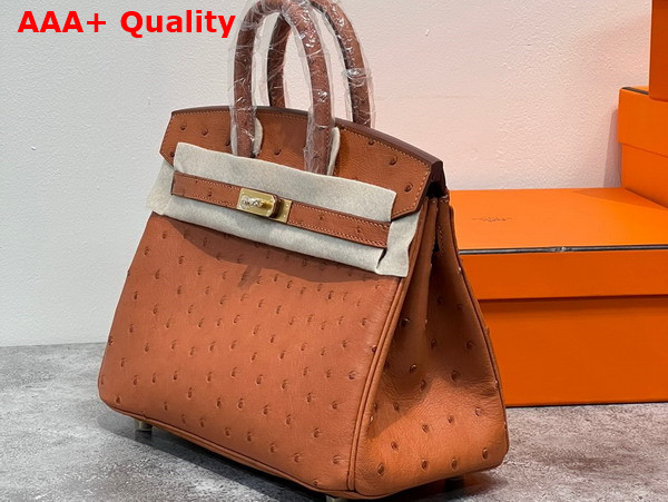 Hermes Ostrich Birkin 25 Bag in Gold Brown Replica