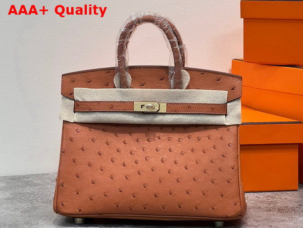 Hermes Ostrich Birkin 25 Bag in Gold Brown Replica