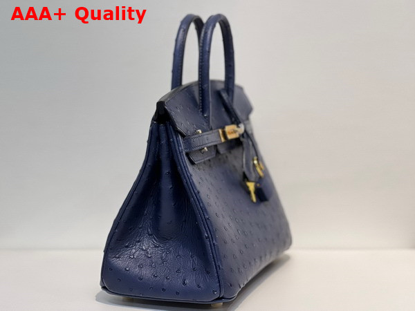 Hermes Ostrich Birkin 25 Bag in Midnight Blue Replica