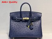 Hermes Ostrich Birkin 25 Bag in Midnight Blue Replica