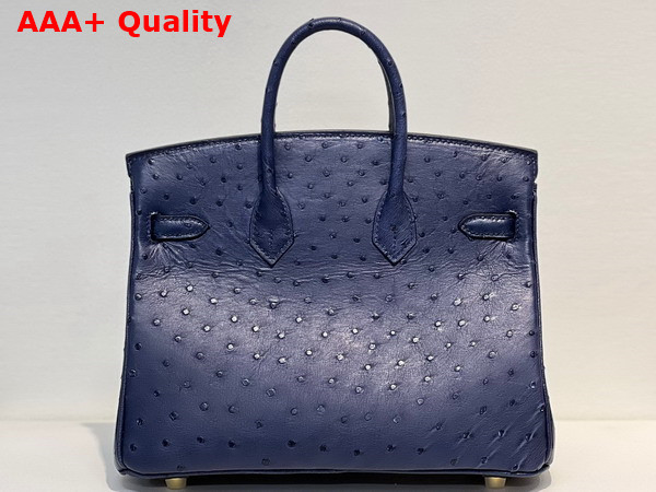 Hermes Ostrich Birkin 25 Bag in Midnight Blue Replica