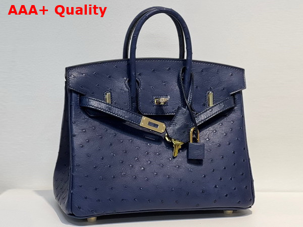 Hermes Ostrich Birkin 25 Bag in Midnight Blue Replica