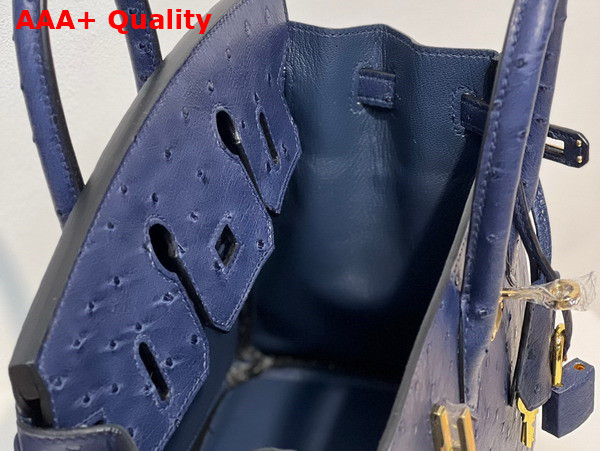 Hermes Ostrich Birkin 25 Bag in Midnight Blue Replica