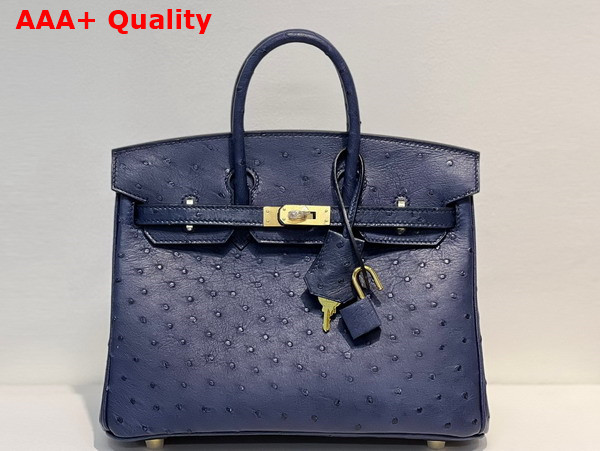 Hermes Ostrich Birkin 25 Bag in Midnight Blue Replica