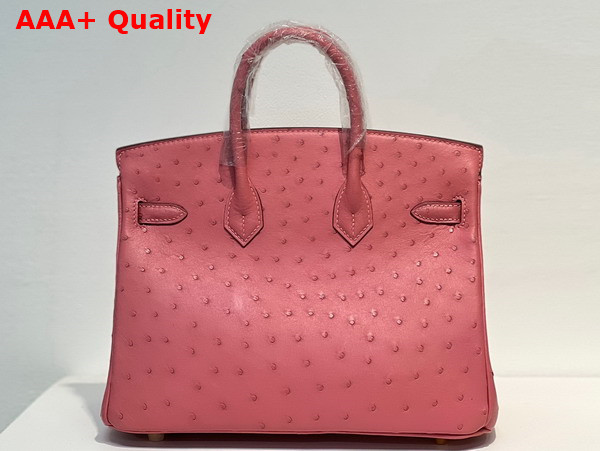 Hermes Ostrich Birkin 25 Bag in Milk Powder Replica