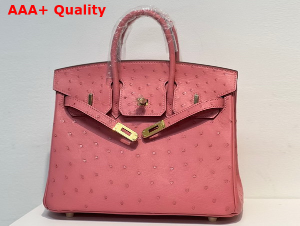 Hermes Ostrich Birkin 25 Bag in Milk Powder Replica