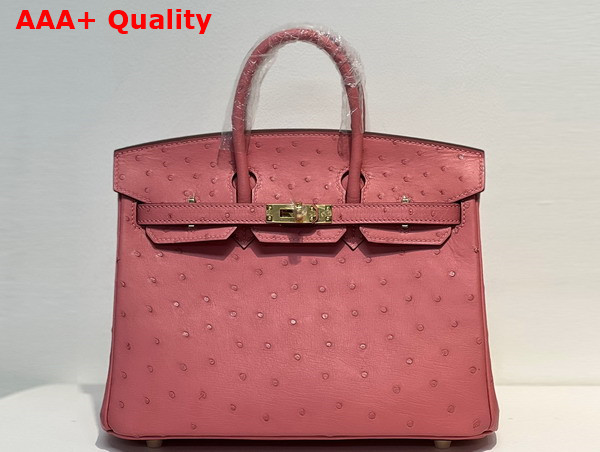 Hermes Ostrich Birkin 25 Bag in Milk Powder Replica