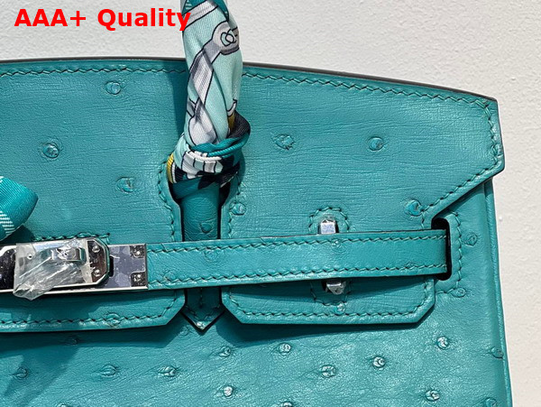 Hermes Ostrich Birkin 25 Bag in Peacock Blue Replica