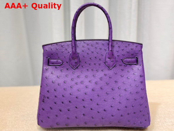 Hermes Ostrich Birkin 25 Bag in Purple Replica