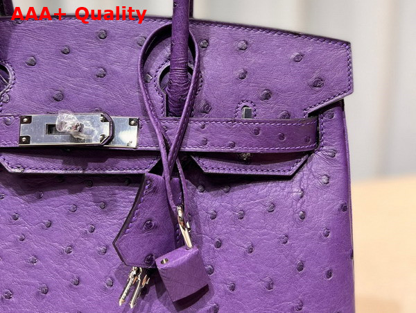 Hermes Ostrich Birkin 25 Bag in Purple Replica