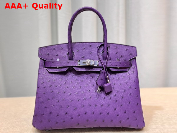 Hermes Ostrich Birkin 25 Bag in Purple Replica