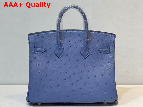 Hermes Ostrich Birkin 25 Bag in Sky Blue Replica