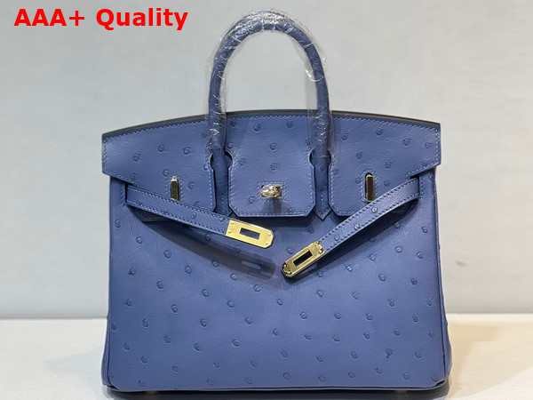 Hermes Ostrich Birkin 25 Bag in Sky Blue Replica