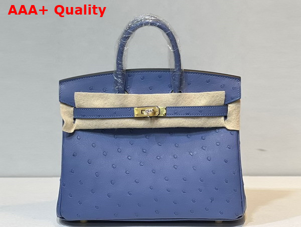 Hermes Ostrich Birkin 25 Bag in Sky Blue Replica