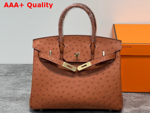 Hermes Ostrich Birkin 30 Bag in Gold Brown Replica