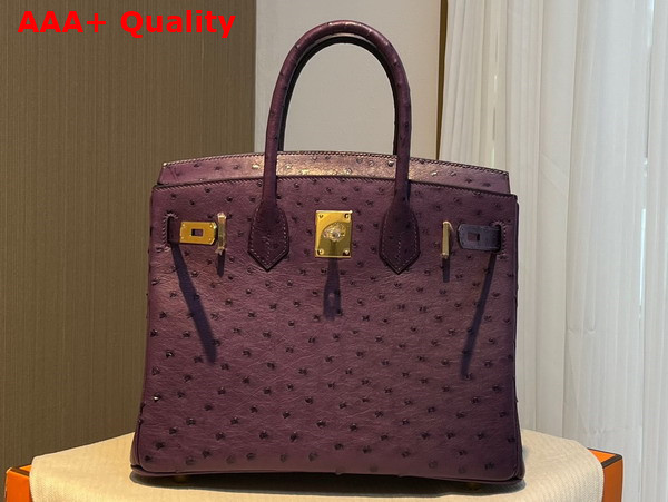 Hermes Ostrich Birkin 30 Bag in Grape Replica