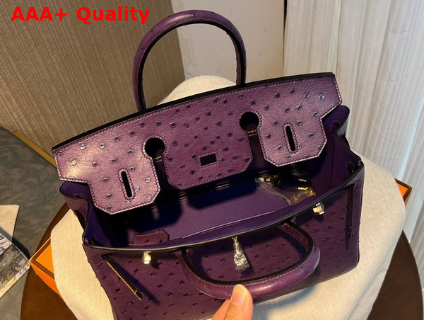 Hermes Ostrich Birkin 30 Bag in Grape Replica