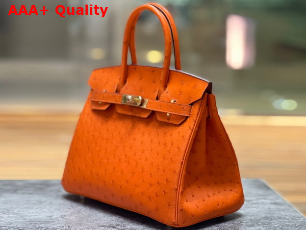 Hermes Ostrich Birkin 30 Bag in Orange Replica