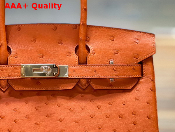 Hermes Ostrich Birkin 30 Bag in Orange Replica