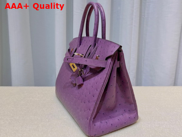 Hermes Ostrich Birkin 30 Bag in Purple Replica