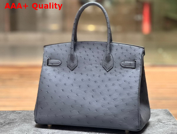 Hermes Ostrich Birkin 30 Bag in Storm Replica