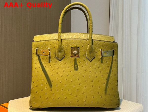 Hermes Ostrich Birkin 30 Bag in Yellow Replica