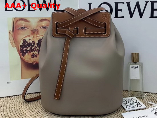 Loewe Lazo Bucket Bag Light Grey Replica