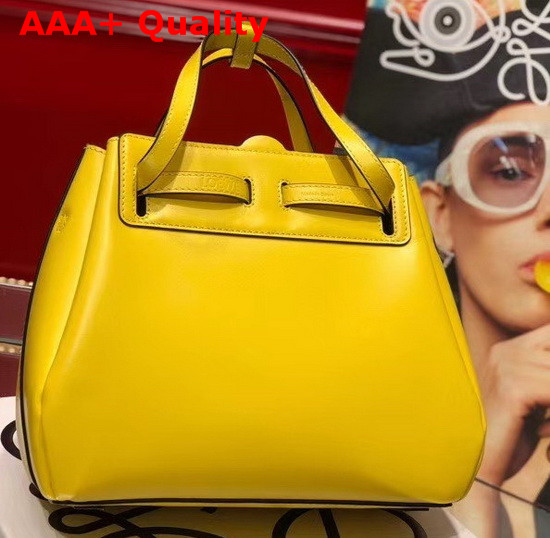 Loewe Lazo Mini Bag in Yellow Boxcalf Replica