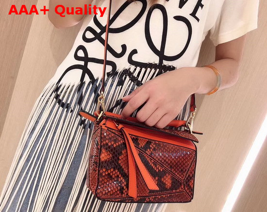 Loewe Puzzle Mini Bag in Orange Python Replica