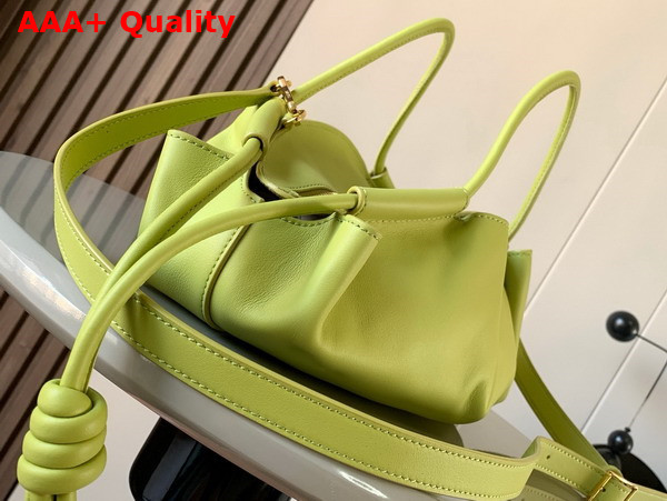 Loewe Small Paseo Bag in Light Green Shiny Nappa Calfskin Replica