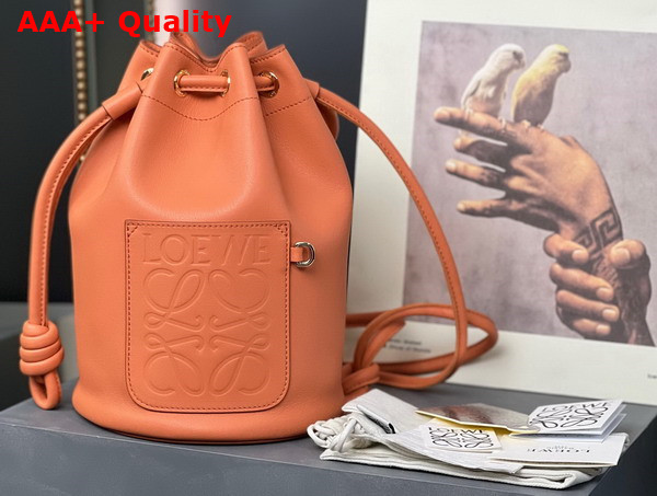 Loewe Small Sailor Bag in Nappa Calf Coral Reef Replica