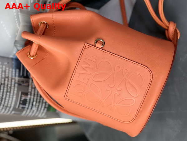 Loewe Small Sailor Bag in Nappa Calf Coral Reef Replica