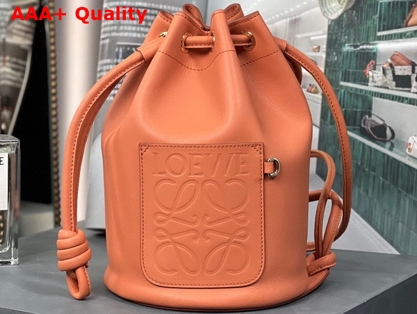 Loewe Small Sailor Bag in Nappa Calf Coral Reef Replica