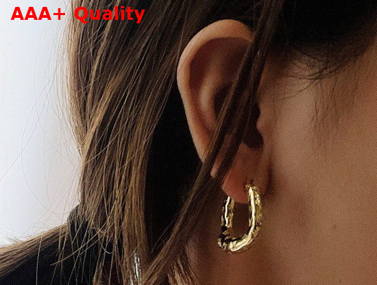 Louis Vuitton 2D Earrings Gold M00393 Replica