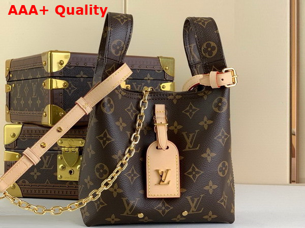 Louis Vuitton Atlantis BB Handbag in Monogram Coated Canvas Replica