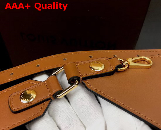 Louis Vuitton Bumbag Dauphine Monogra and Monogram Reverse Coated Canvas M44586 Replica