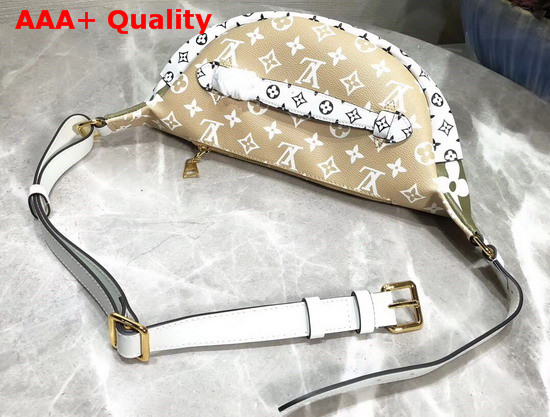 Louis Vuitton Bumbag Khaki Monogram Coated Canvas M44611 Replica