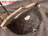 Louis Vuitton Bumbag Monogram Coated Canvas and Natural Cowhide Leather M43644 Replica