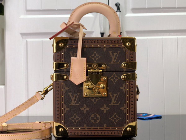 Louis Vuitton Camera Box Monogram Canvas Replica