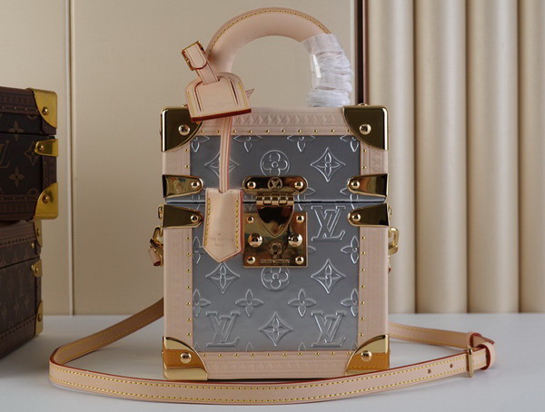 Louis Vuitton Camera Box in Silver Replica