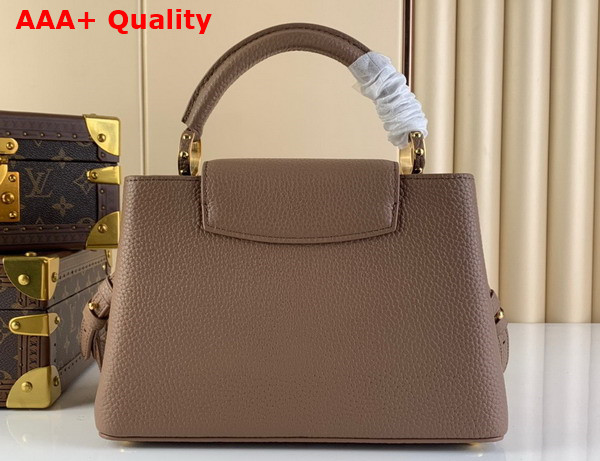 Louis Vuitton Capucines BB Handbag in Smokey Brown Taurillon Leather with Leopard LV Replica