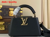 Louis Vuitton Capucines East West Mini Handbag in Black Grained Calfskin Replica